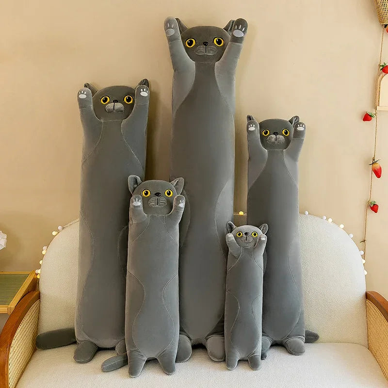 Cat Plush Toy