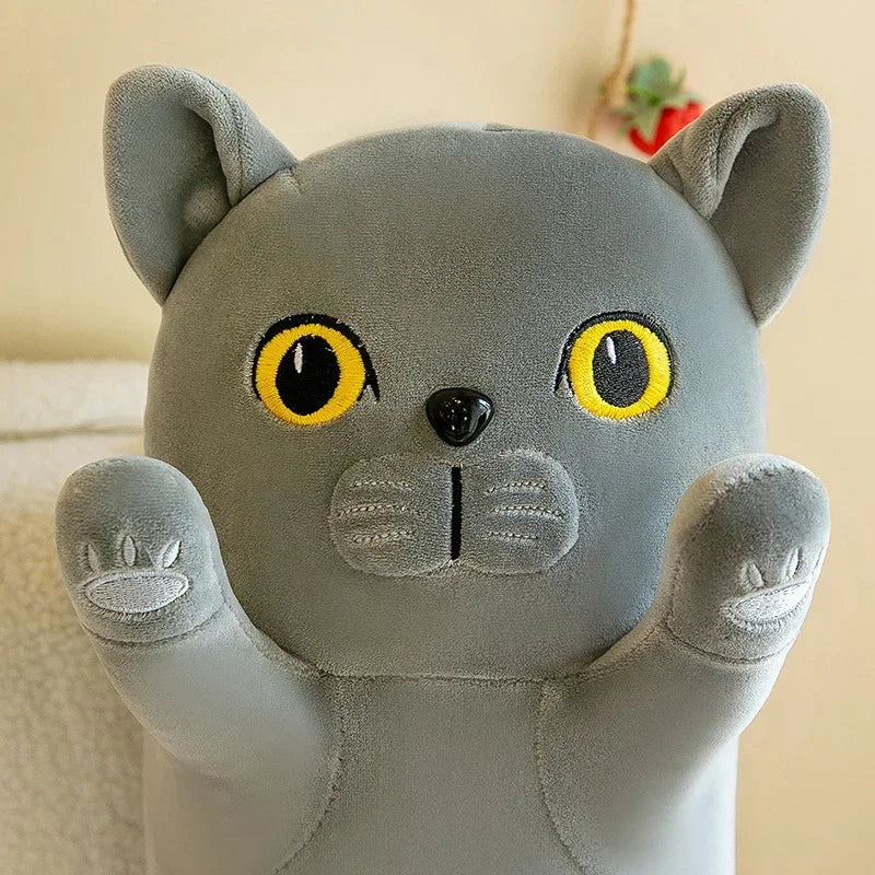 Cat Plush Toy