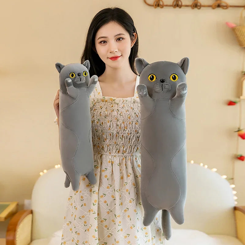 Cat Plush Toy