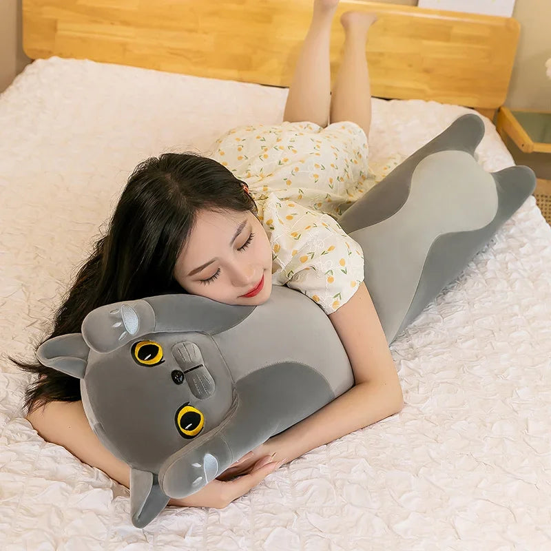 Cat Plush Toy